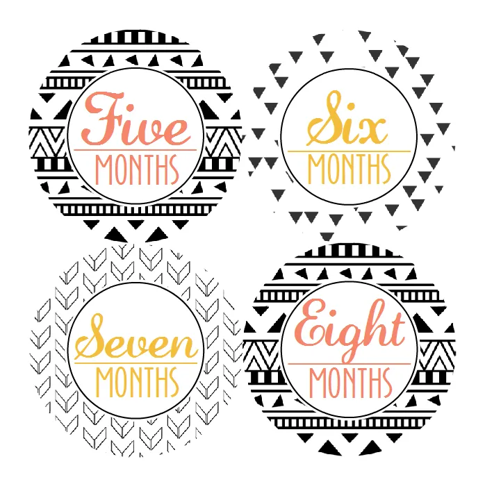AZTEC TRIBAL MONTHLY BABY STICKERS