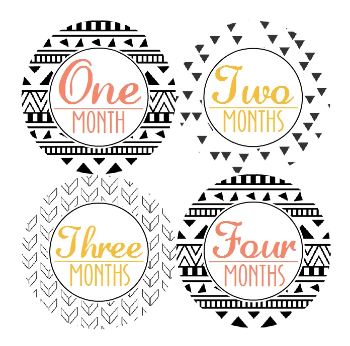 AZTEC TRIBAL MONTHLY BABY STICKERS