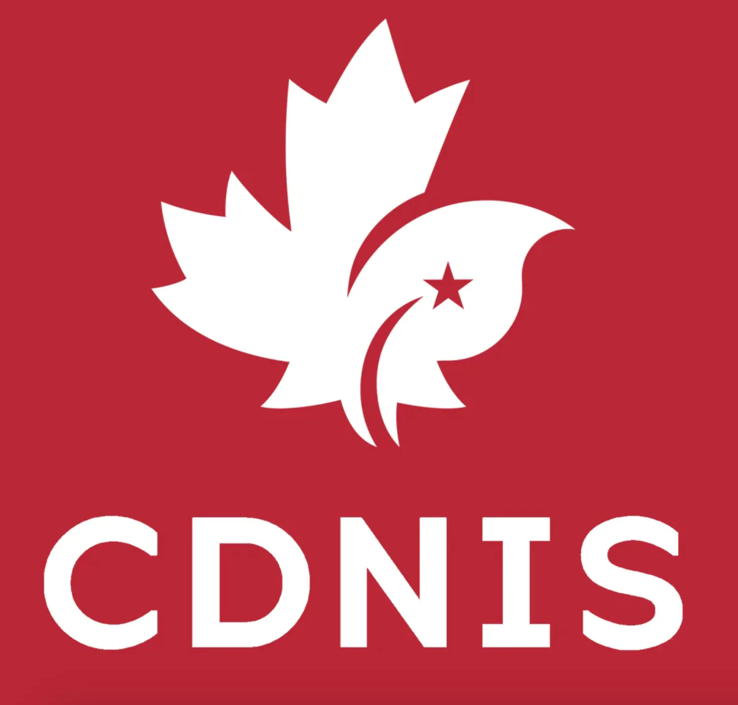 CDNIS EY Round Neck Long Sleeve Shirt
