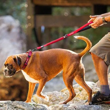EZYDog Zero Shock Dog Leash Red