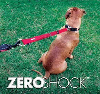 EzyDog Zero Shock Extension