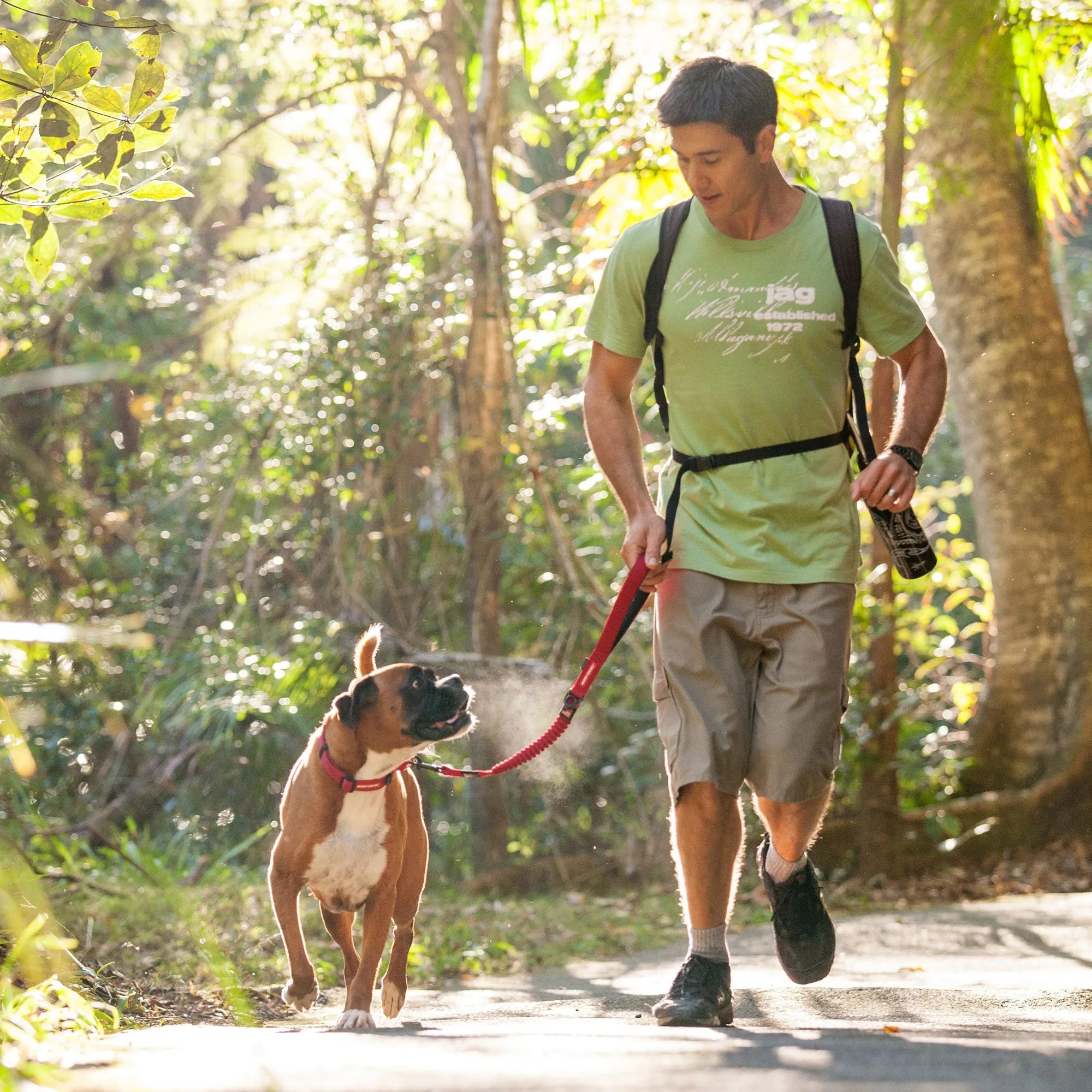 Ezydog Zero Shock Leash Lite