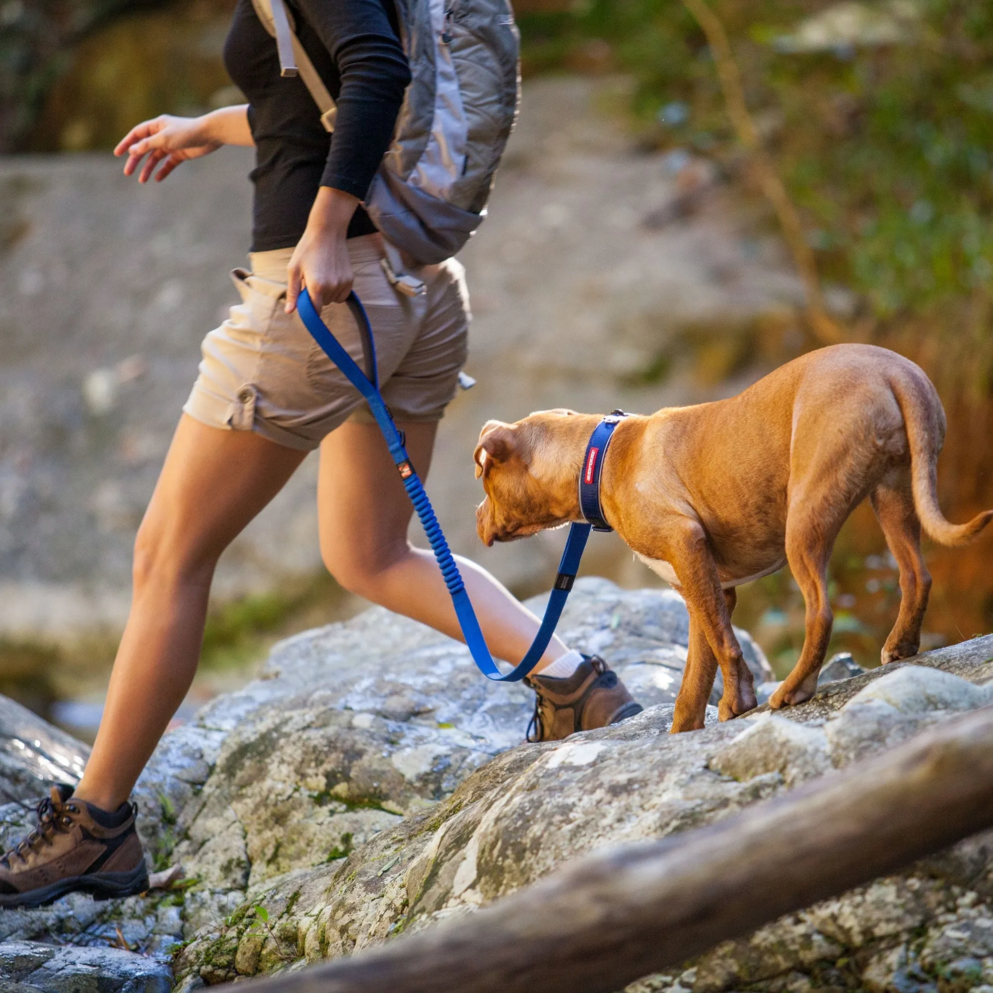 Ezydog Zero Shock Leash Lite