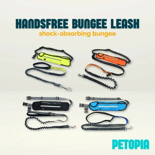 Handsfree Shock-Absorbing Bungee Dog Leash