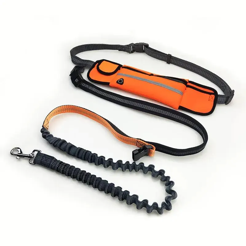 Handsfree Shock-Absorbing Bungee Dog Leash