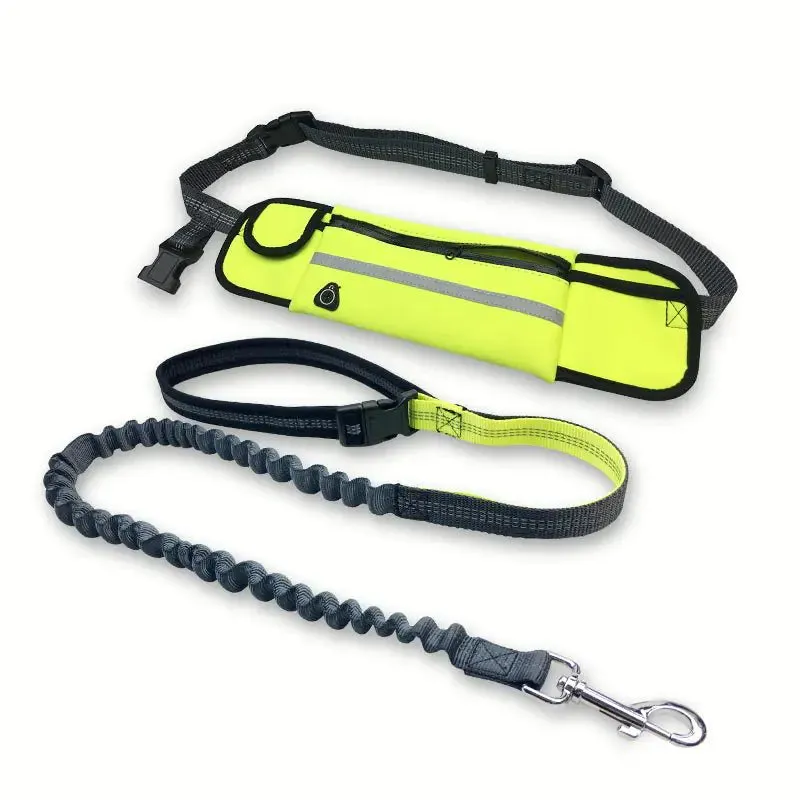 Handsfree Shock-Absorbing Bungee Dog Leash