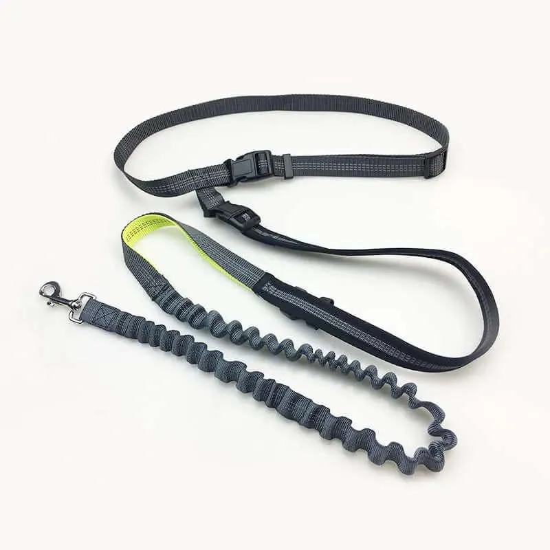 Handsfree Shock-Absorbing Bungee Dog Leash
