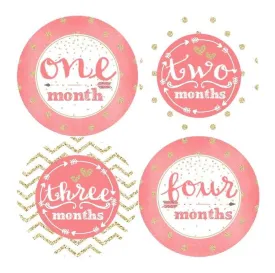 MULTI PATTEREN MONTHLY BABY STICKERS